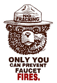 Modified Smokey the Bear meme. (Lmnopi.blogspot.com/Lopi LaRoe)