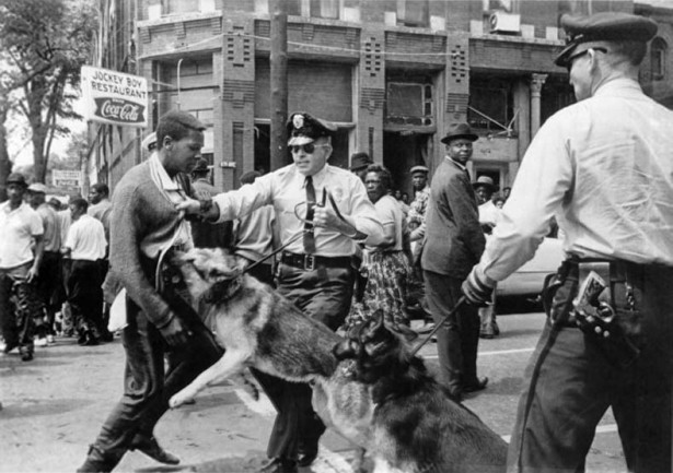 Bill Hudson's image of Parker High School student Walter Gadsden being attacked by dogs was published in The New York Times on May 4, 1963. (Wikipedia)
