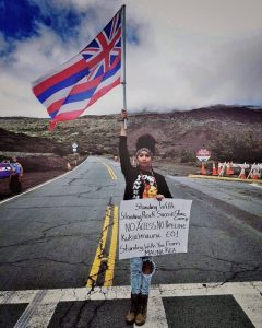 Mauna Kea protectors show solidarity with Standing Rock. (Facebook / Volcano Hideaways)
