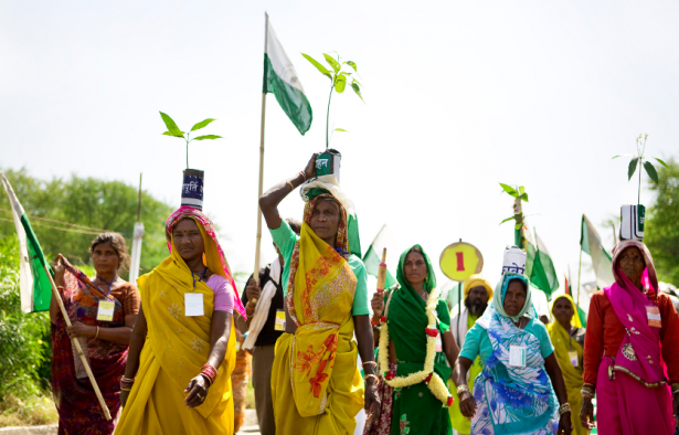 Women carrying saplings of Mango trees to symbolize the importance of Jal Jungle aur Zamin; water, forest and earth. (WNV/Ekta Parishad)