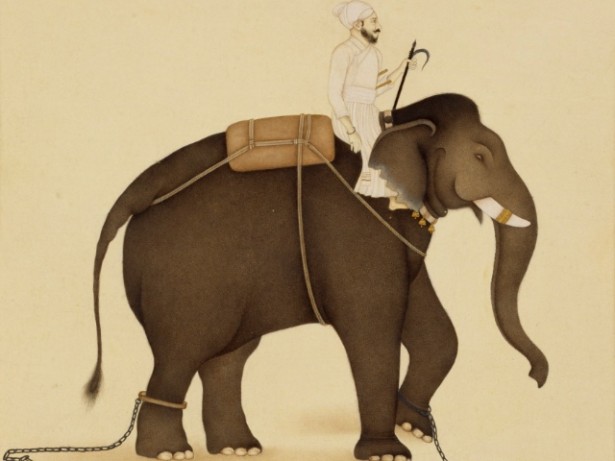 The intuitive mind is like an elephant and the rational mind is like its rider. (Wikipedia)