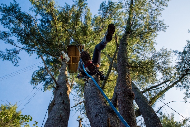A Camp White Pine member ascends to a tree-sit.